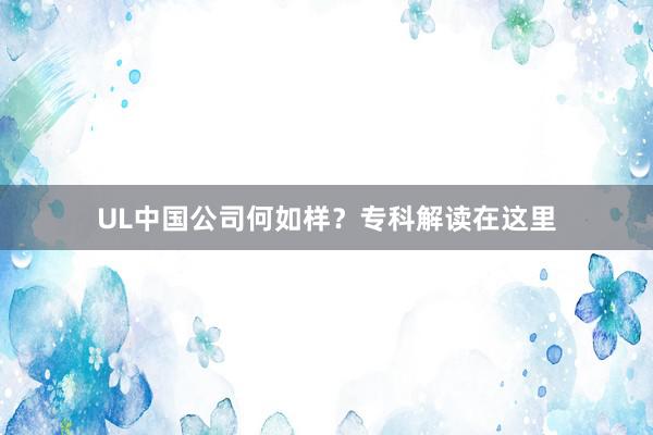 UL中国公司何如样？专科解读在这里